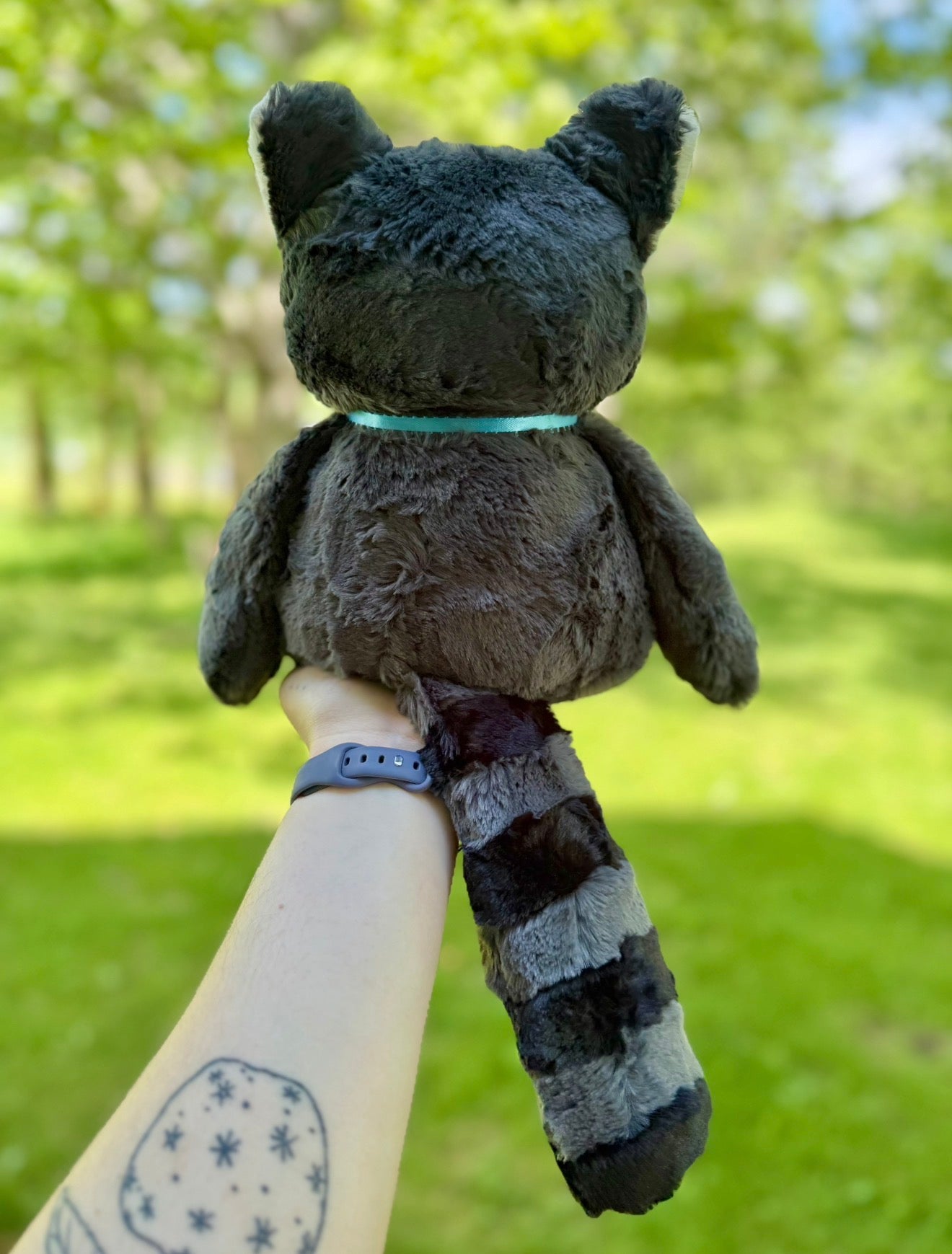 πππ¦ Marcellus the Raccoon π¦ππ