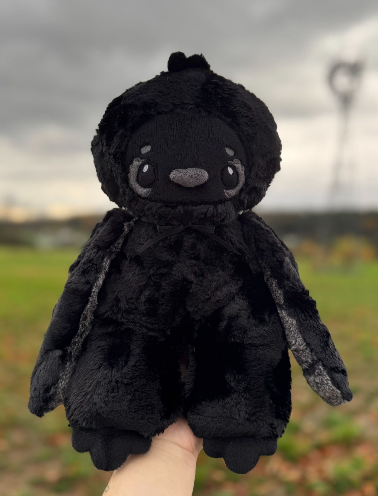 * Pre-order* π€ππ¦ββ¬ Roam the Raven π¦ββ¬ππ€
