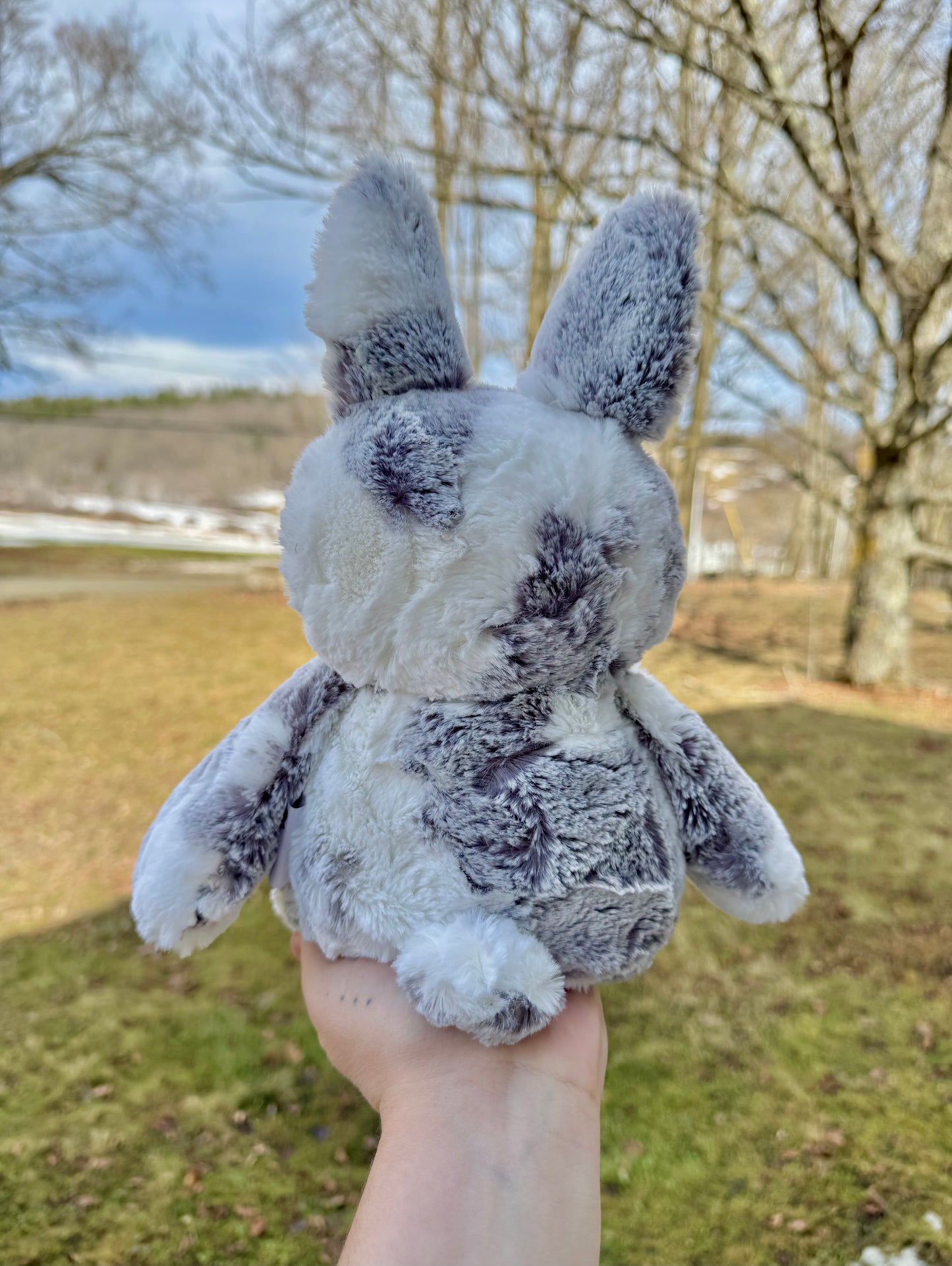 π°π Jaz the Bunny ππ°