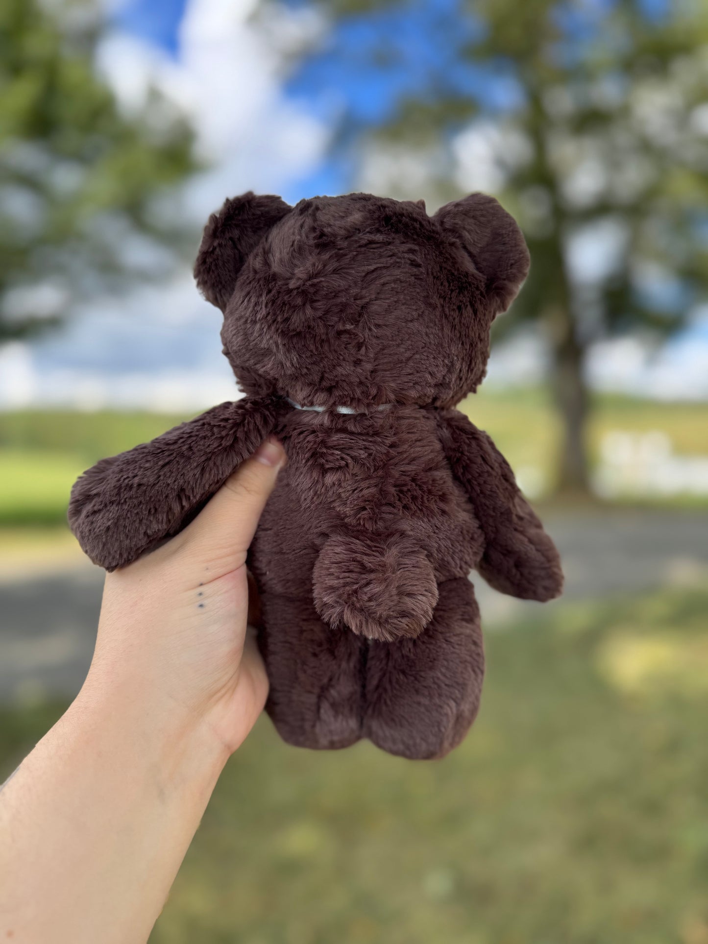 🐻 Mini Floppy Bear 🐻