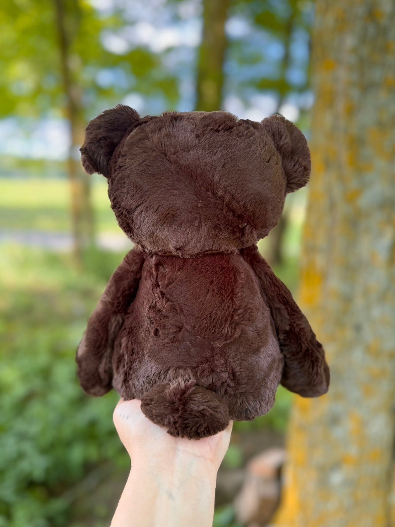 ππ»π Cedar the Bear ππ»π