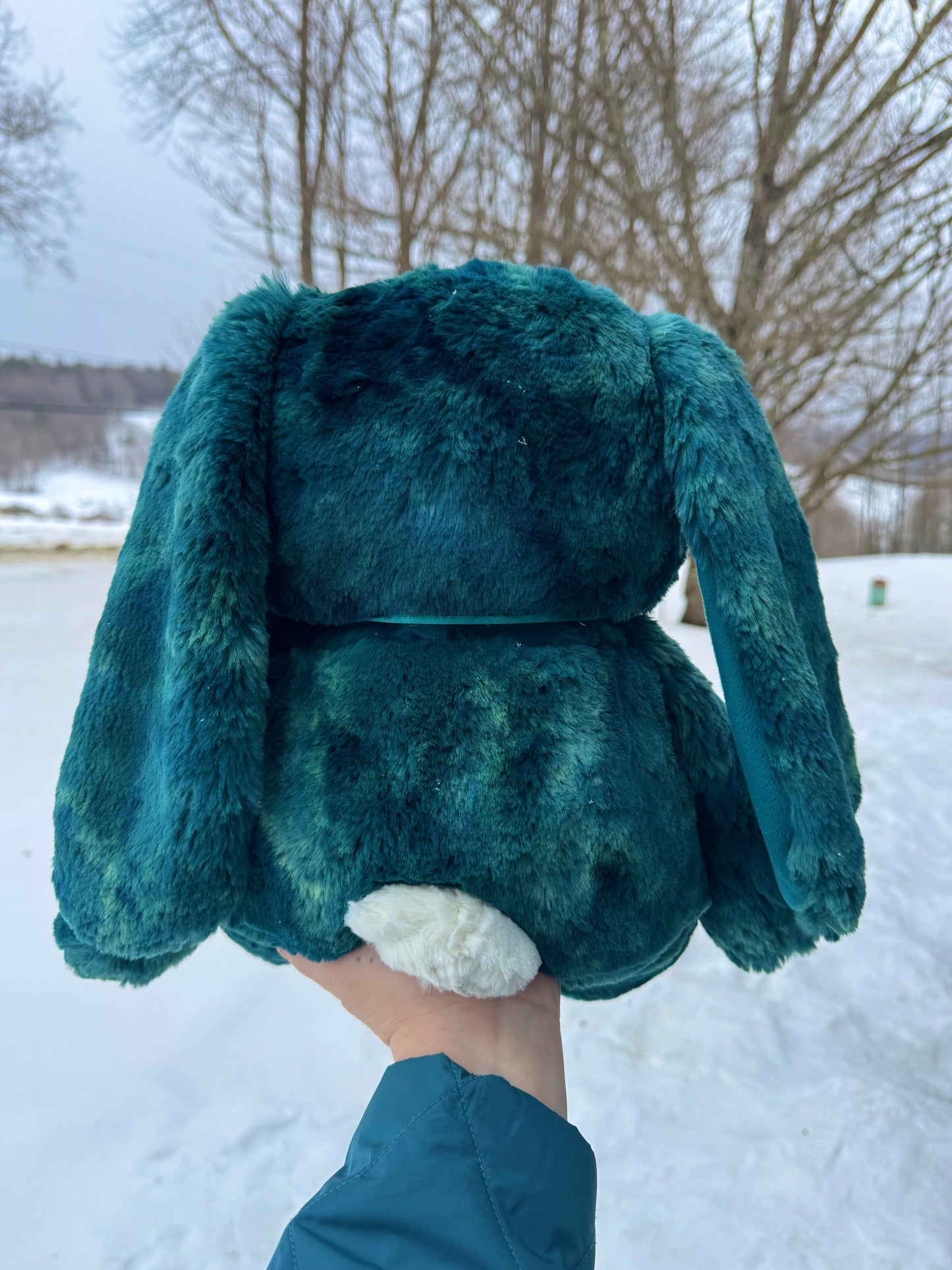 ππ°βοΈ Bonnis the Bunny βοΈπ°π