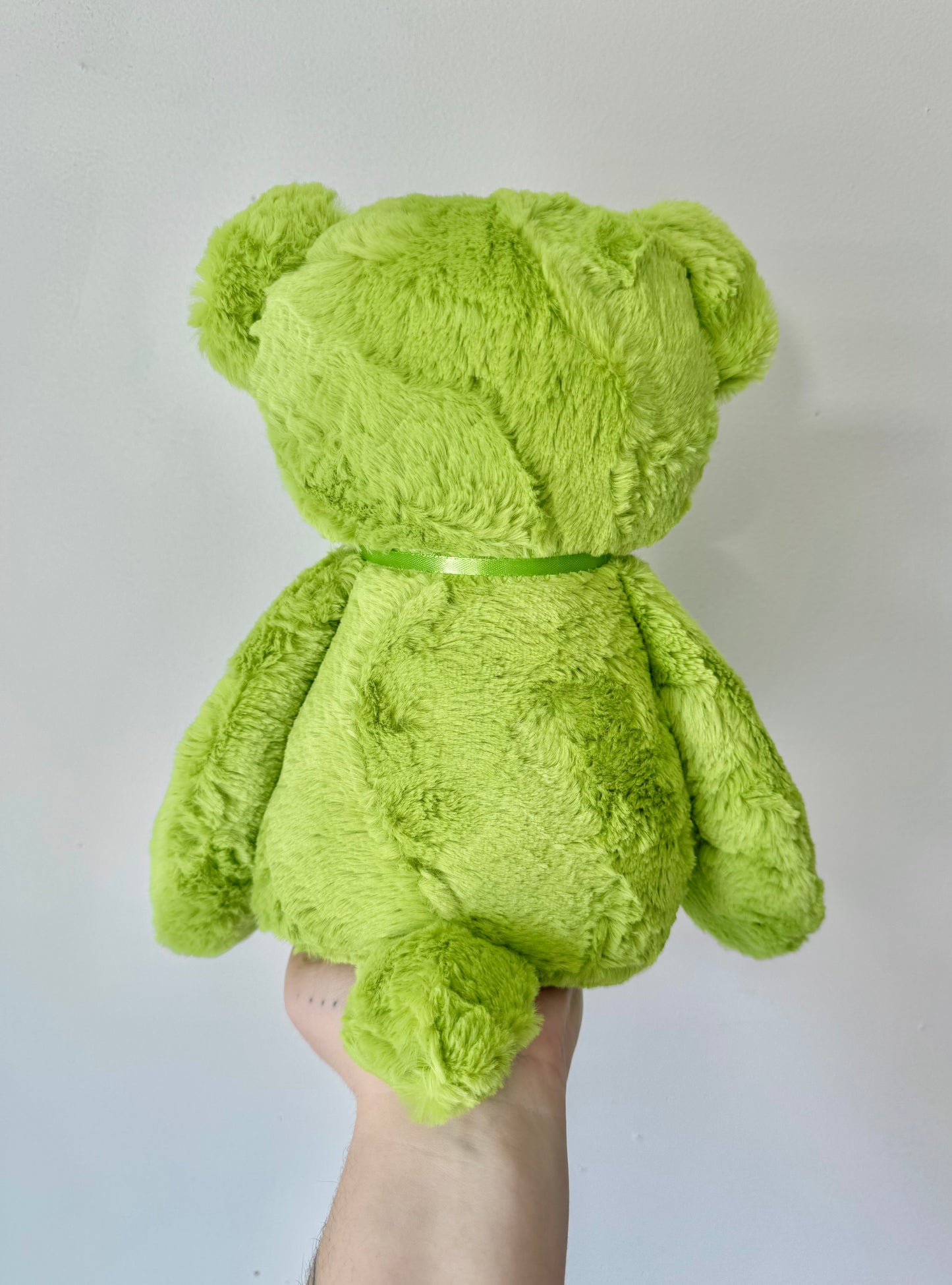 🍀🐻 Lucky the Bear 🐻🍀