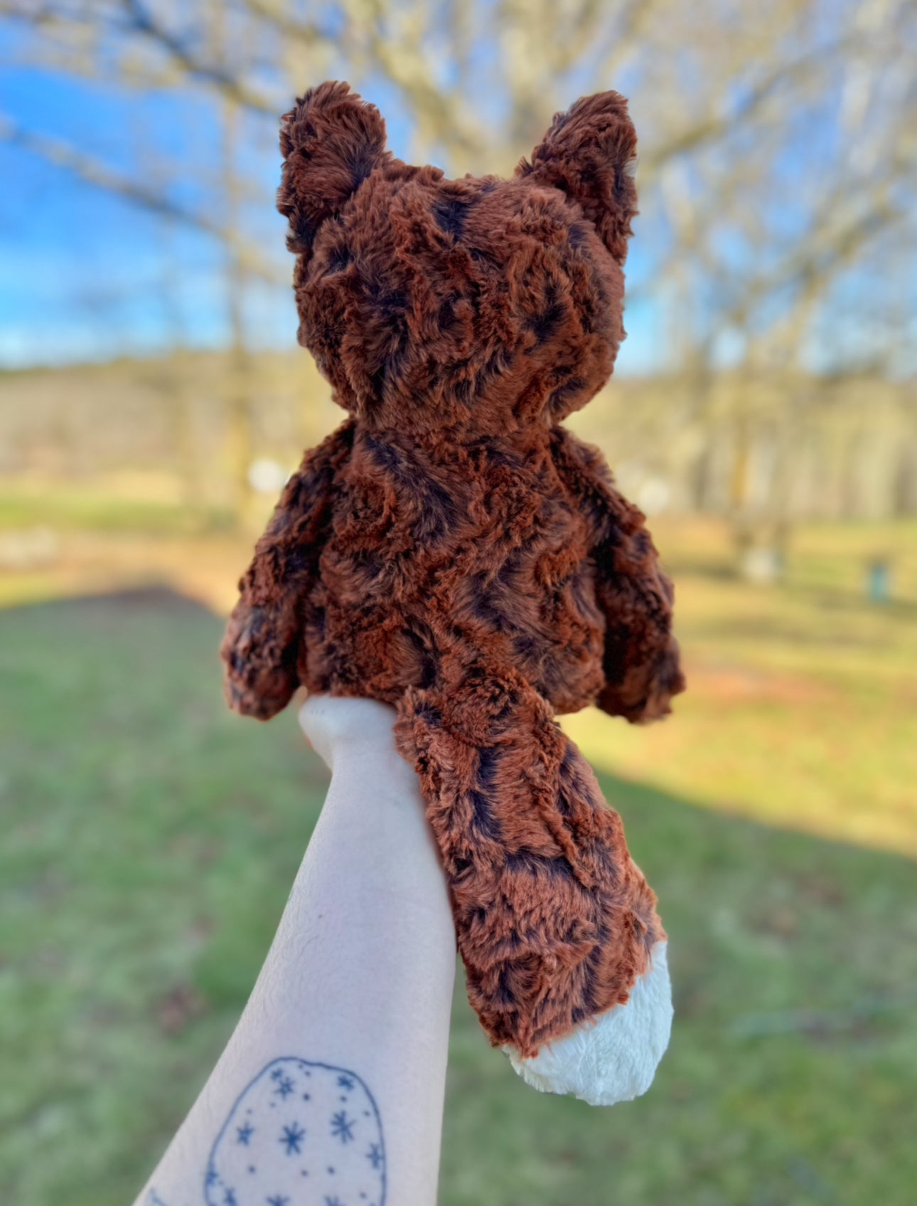 🪾🦊🍃 Farley the Fox 🍃🦊🪾