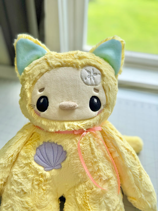 🌊🪸🐚 Pacifica the Cat 🐚🪸🌊