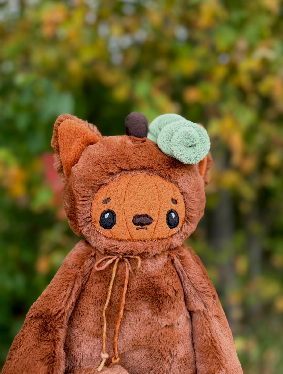 🍂🎃🐱 Espee the Pumpkin Kitten 🐱🎃🍂
