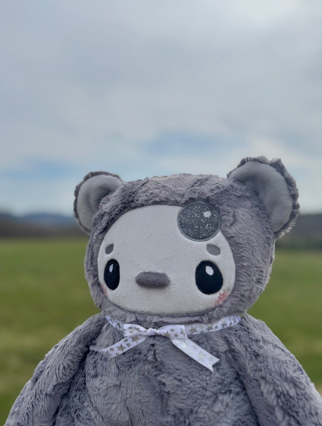 🌗🌑🌓 Artemis the Bear 🌗🌑🌓