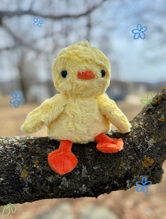 🌷⛅️🌱 Puddles the Baby Duck 🌱⛅️🌷