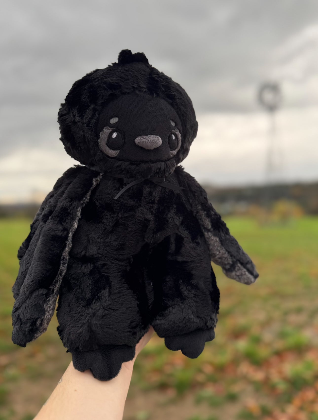* Pre-order* 🖤📓🐦‍⬛ Roam the Raven 🐦‍⬛📓🖤