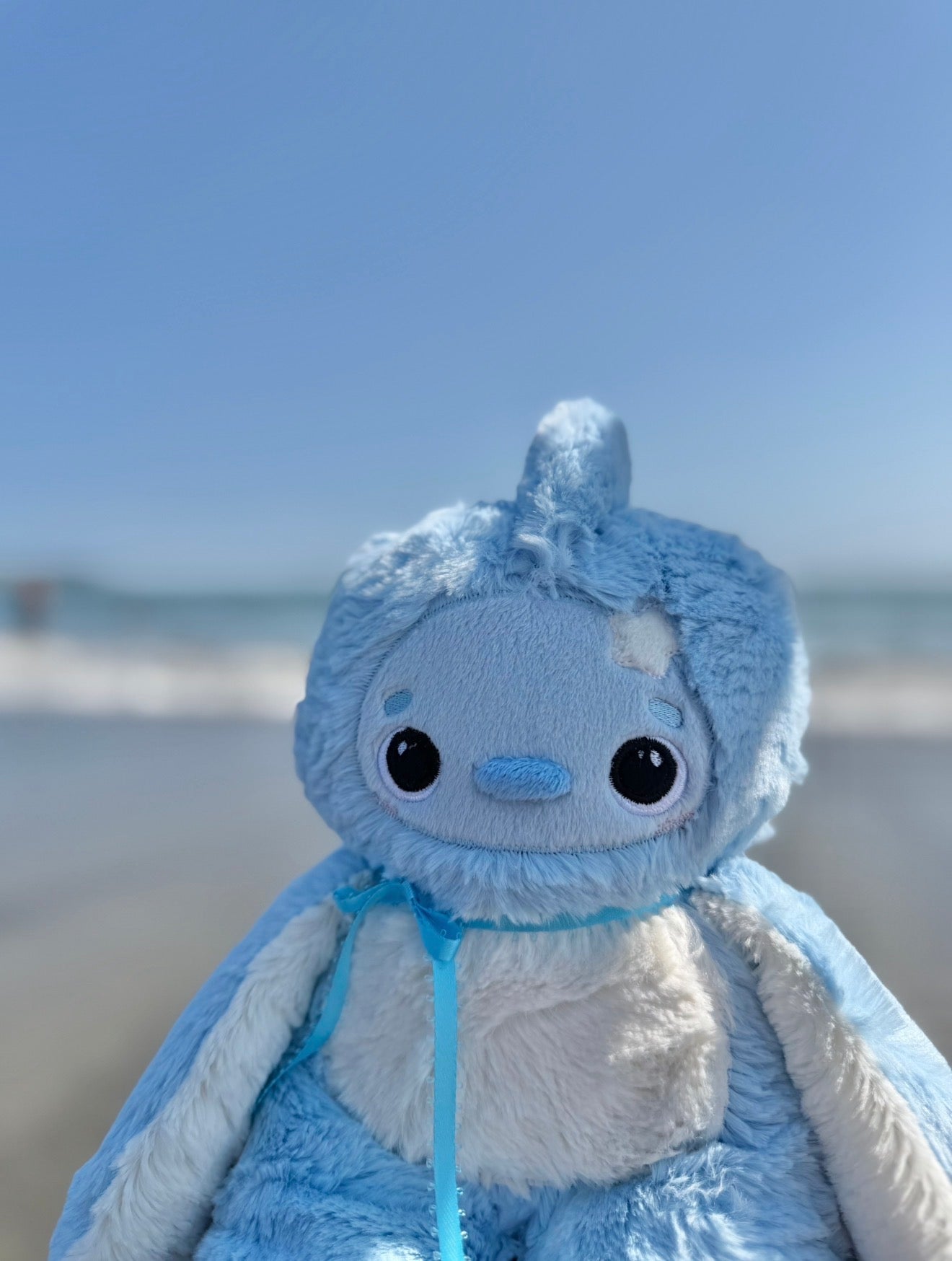 🪸🪼🦈 Ripple the Shark 🦈🪼🪸