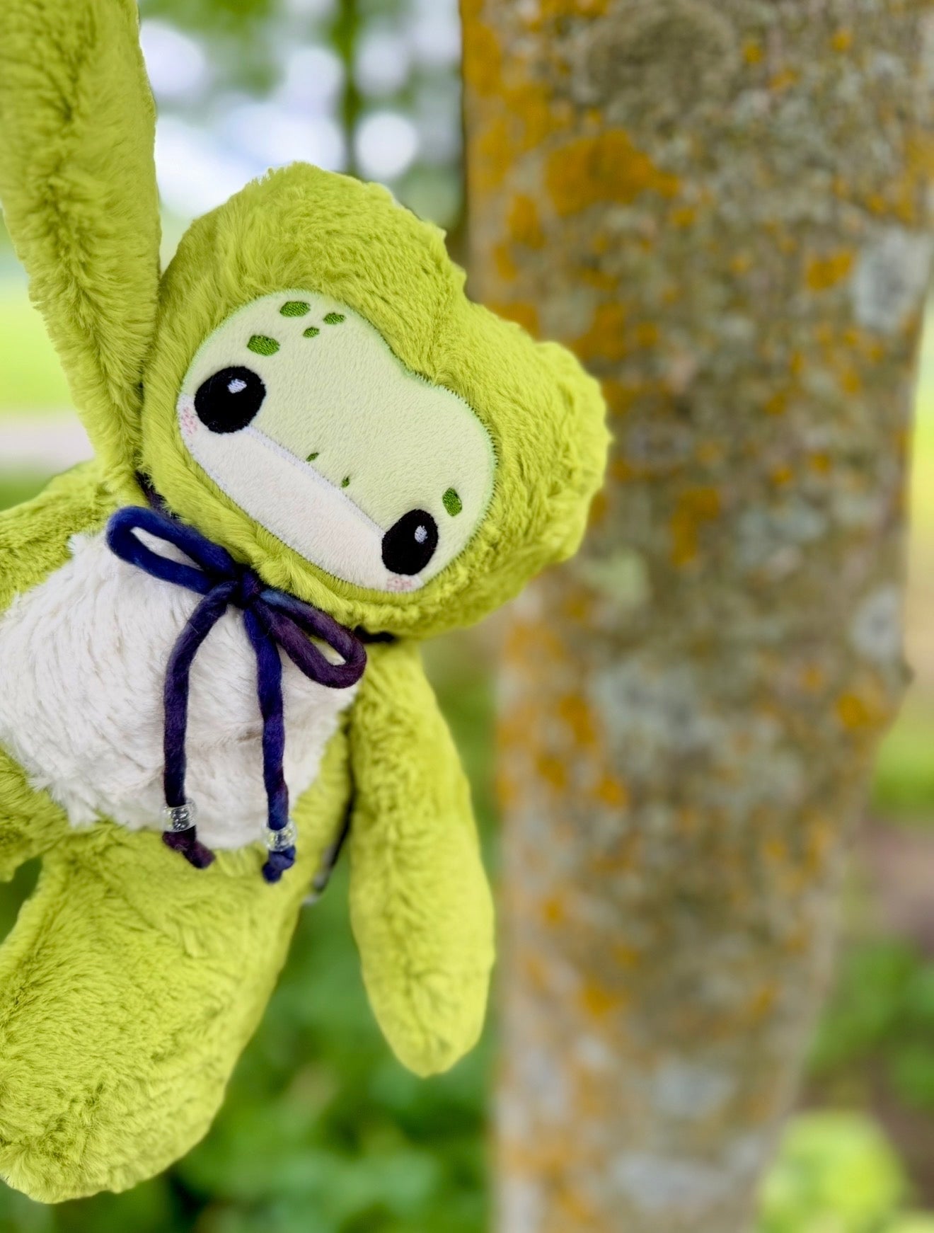 ✨🪷🐸 Lichen the Frog 🐸🪷✨