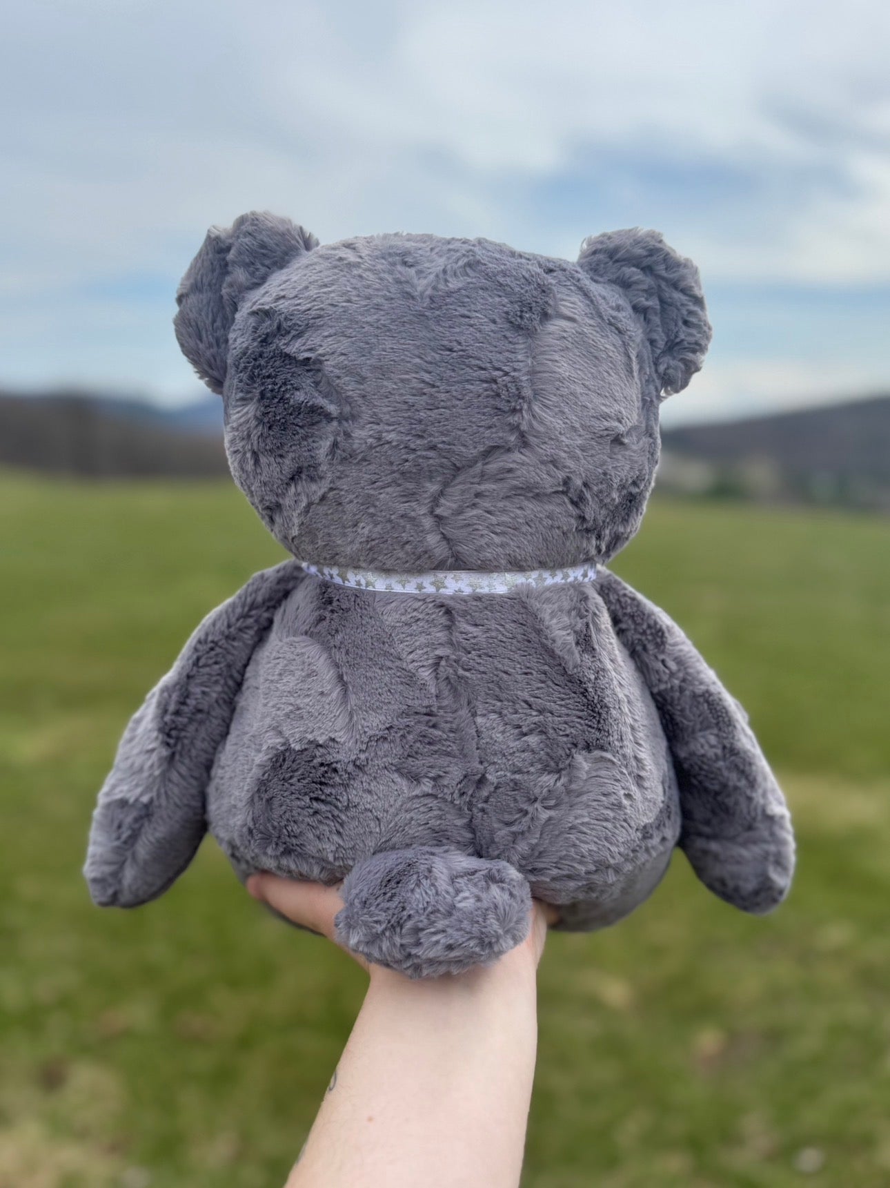 🌗🌑🌓 Artemis the Bear 🌗🌑🌓