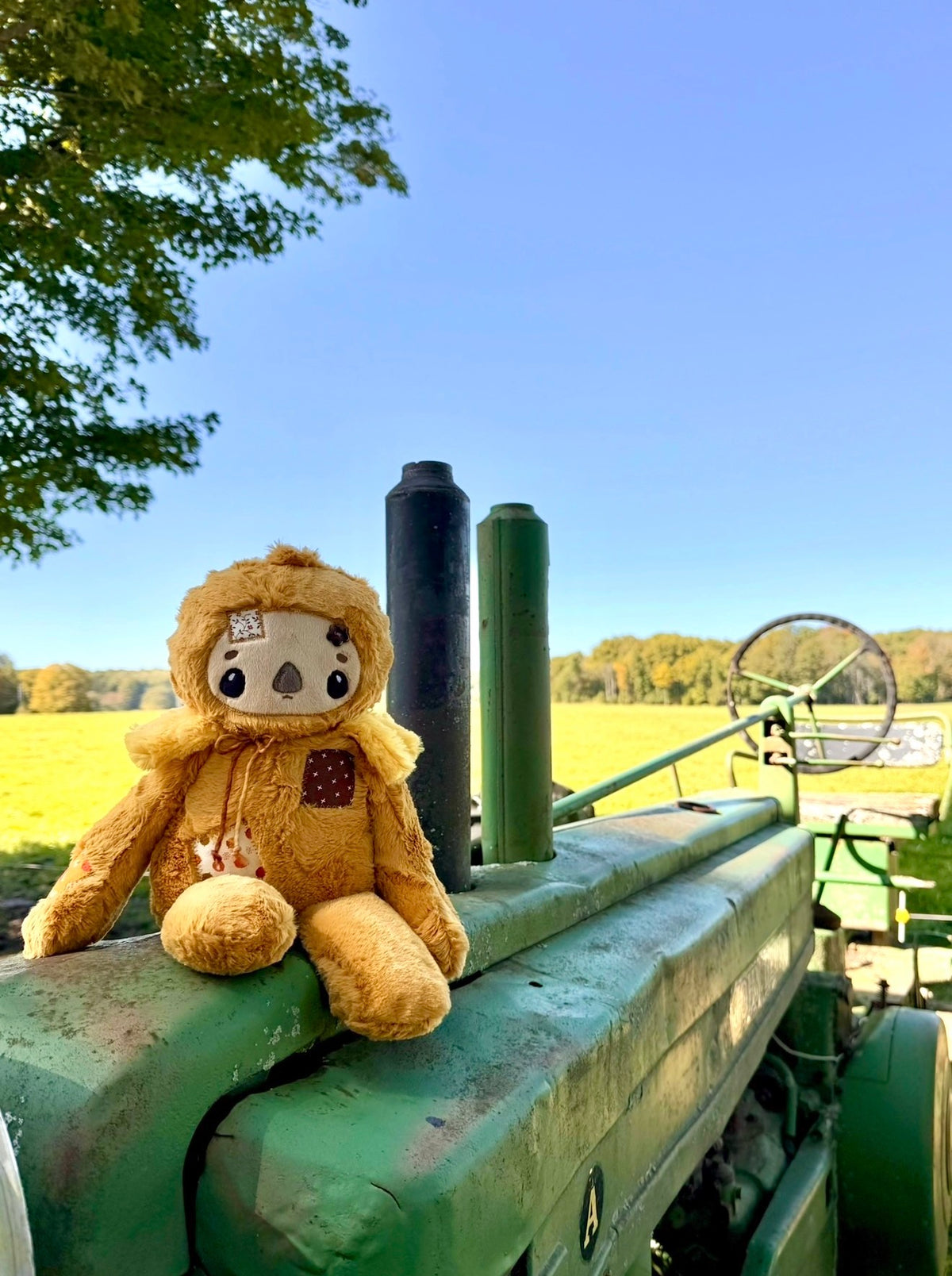 🌻🐦‍⬛🌳 Bramble the Scarecrow 🌳🐦‍⬛🌻