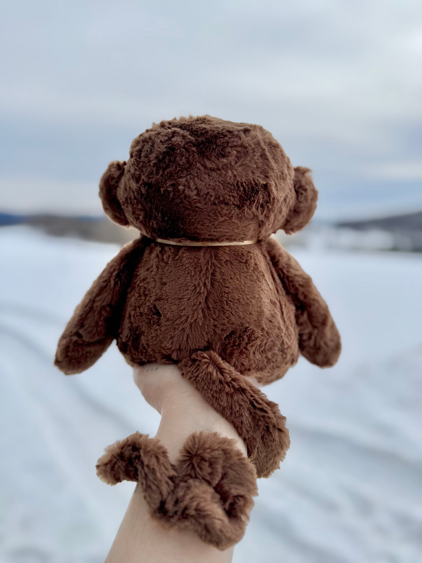 🤎🍀🐵 Milo the Monkey 🐵🍀🤎