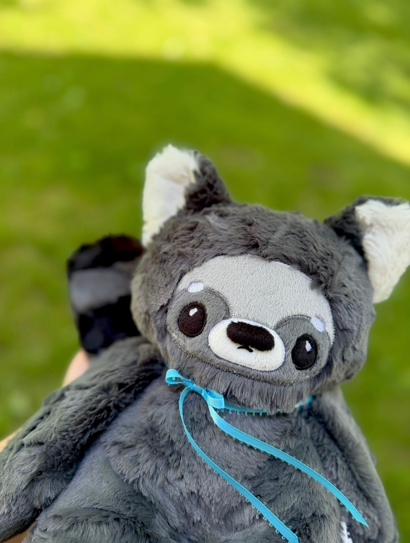 🌊🐙🦝 Marcellus the Raccoon 🦝🐙🌊