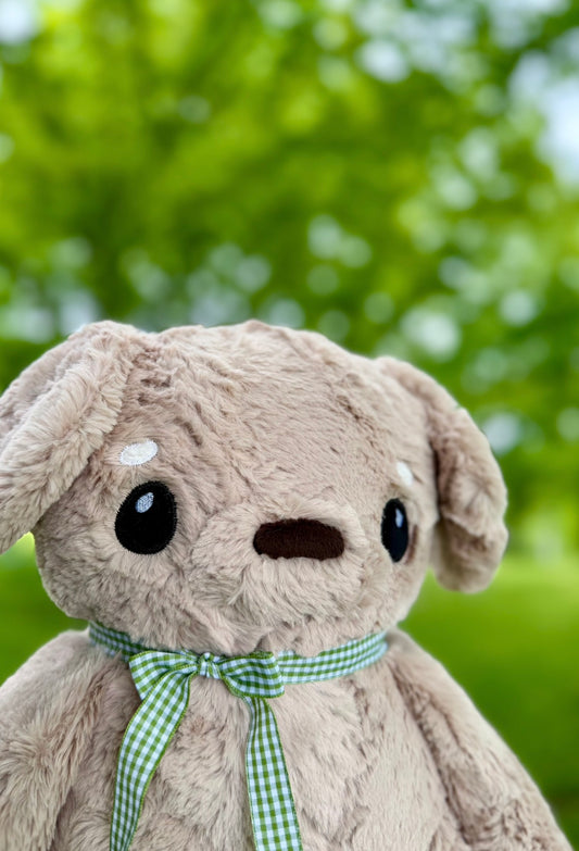 🍃🐶🌳 Forest the Puppy 🌳🐶🍃