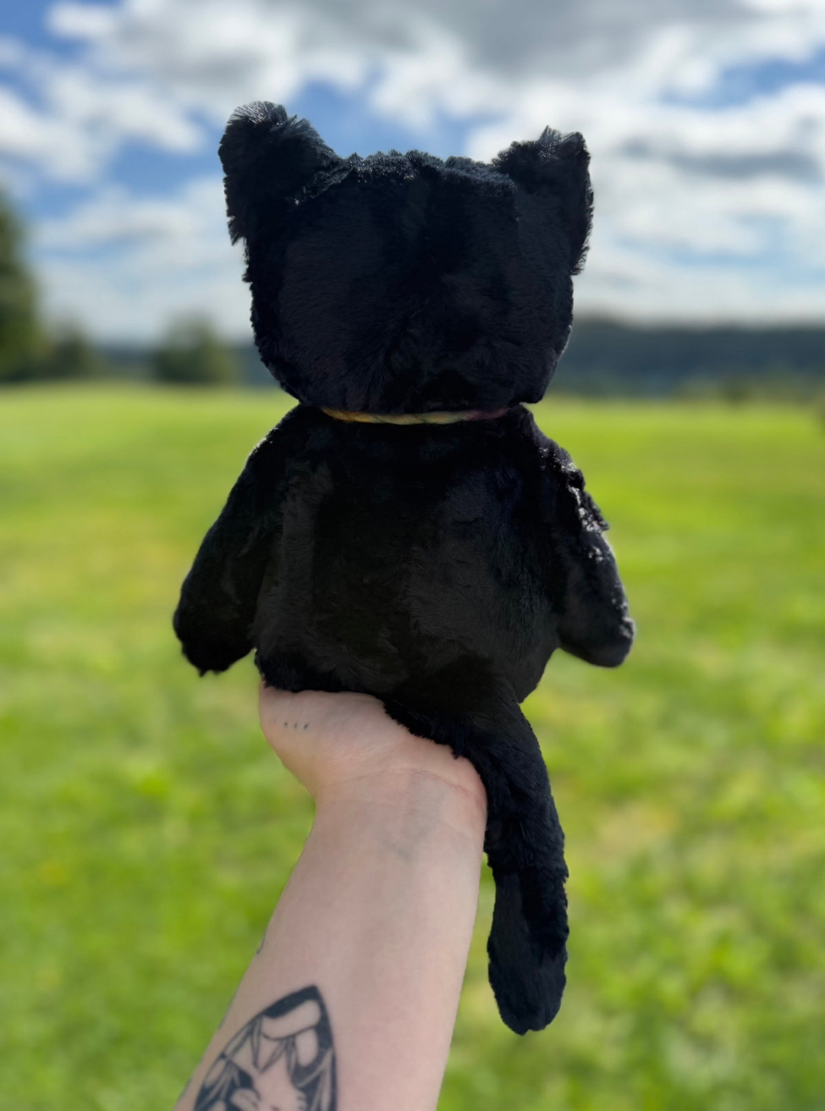 🌈💫🐈‍⬛ Pocket the Kitten 🐈‍⬛ 💫 🌈