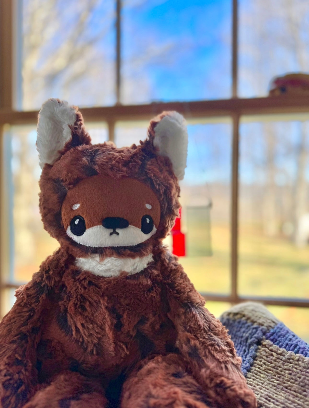 🪾🦊🍃 Farley the Fox 🍃🦊🪾