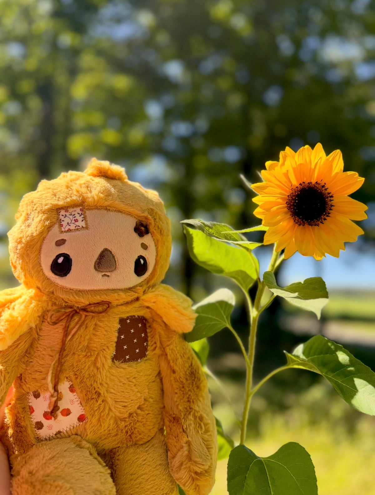 🌻🐦‍⬛🌳 Bramble the Scarecrow 🌳🐦‍⬛🌻