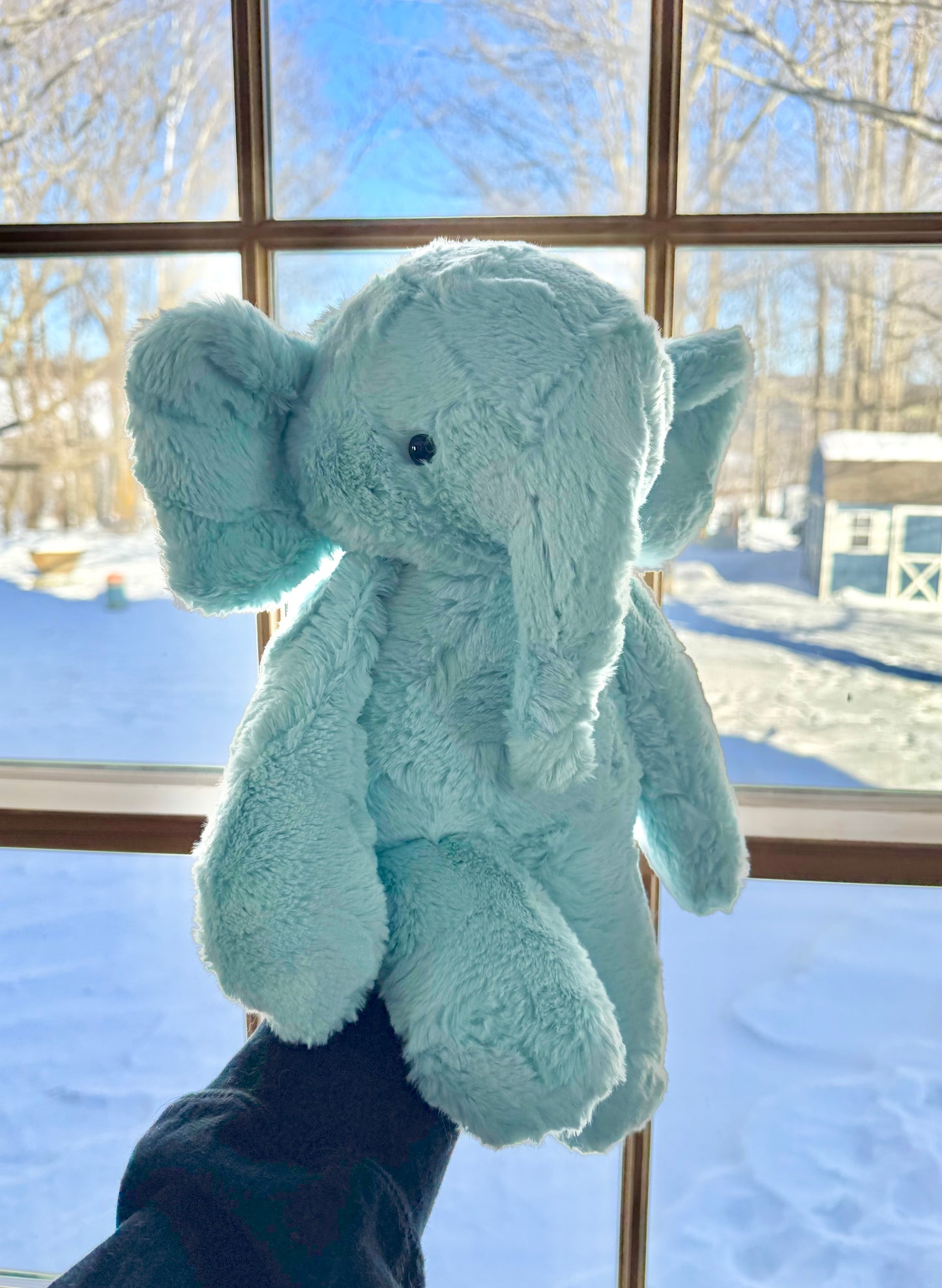 🐘 Elephant Prototype 🐘