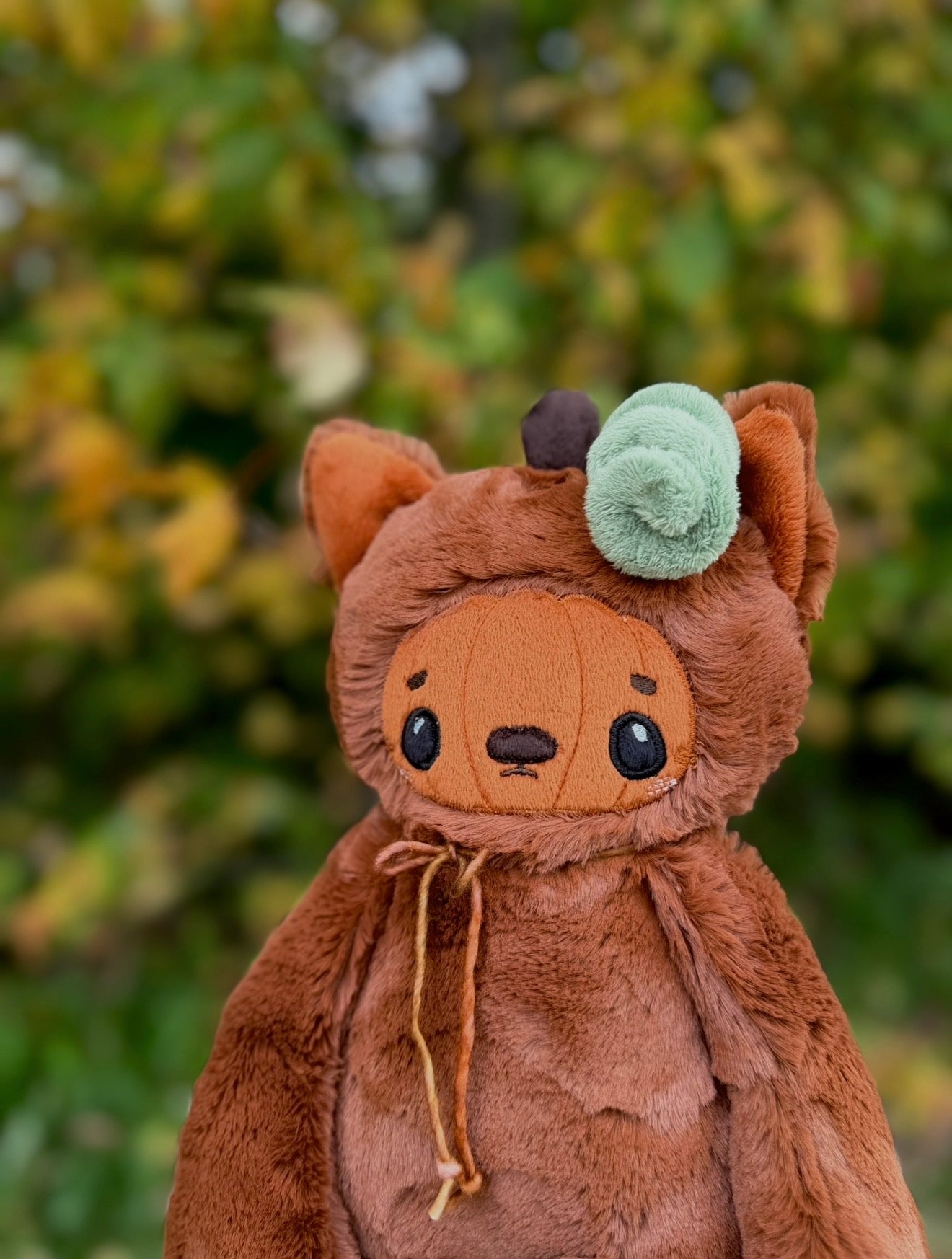 🍂🎃🐱 Espee the Pumpkin Kitten 🐱🎃🍂