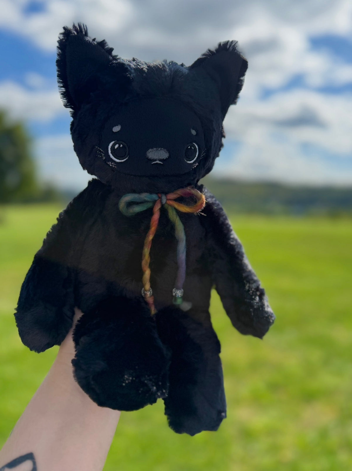 🌈💫🐈‍⬛ Pocket the Kitten 🐈‍⬛ 💫 🌈