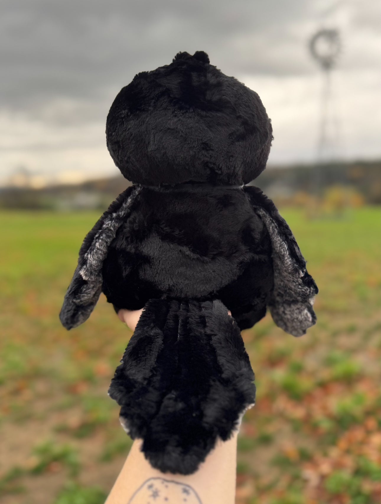 * Pre-order* 🖤📓🐦‍⬛ Roam the Raven 🐦‍⬛📓🖤
