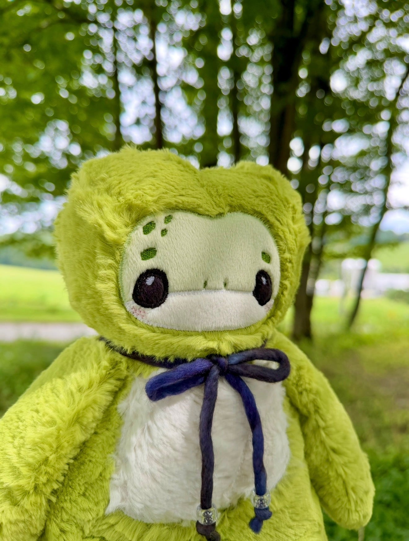 ✨🪷🐸 Lichen the Frog 🐸🪷✨