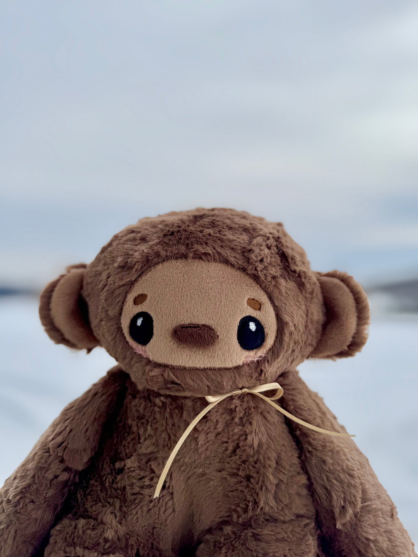 🤎🍀🐵 Milo the Monkey 🐵🍀🤎