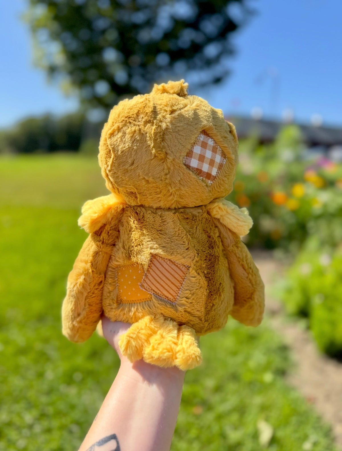 🌻🐦‍⬛🌳 Bramble the Scarecrow 🌳🐦‍⬛🌻