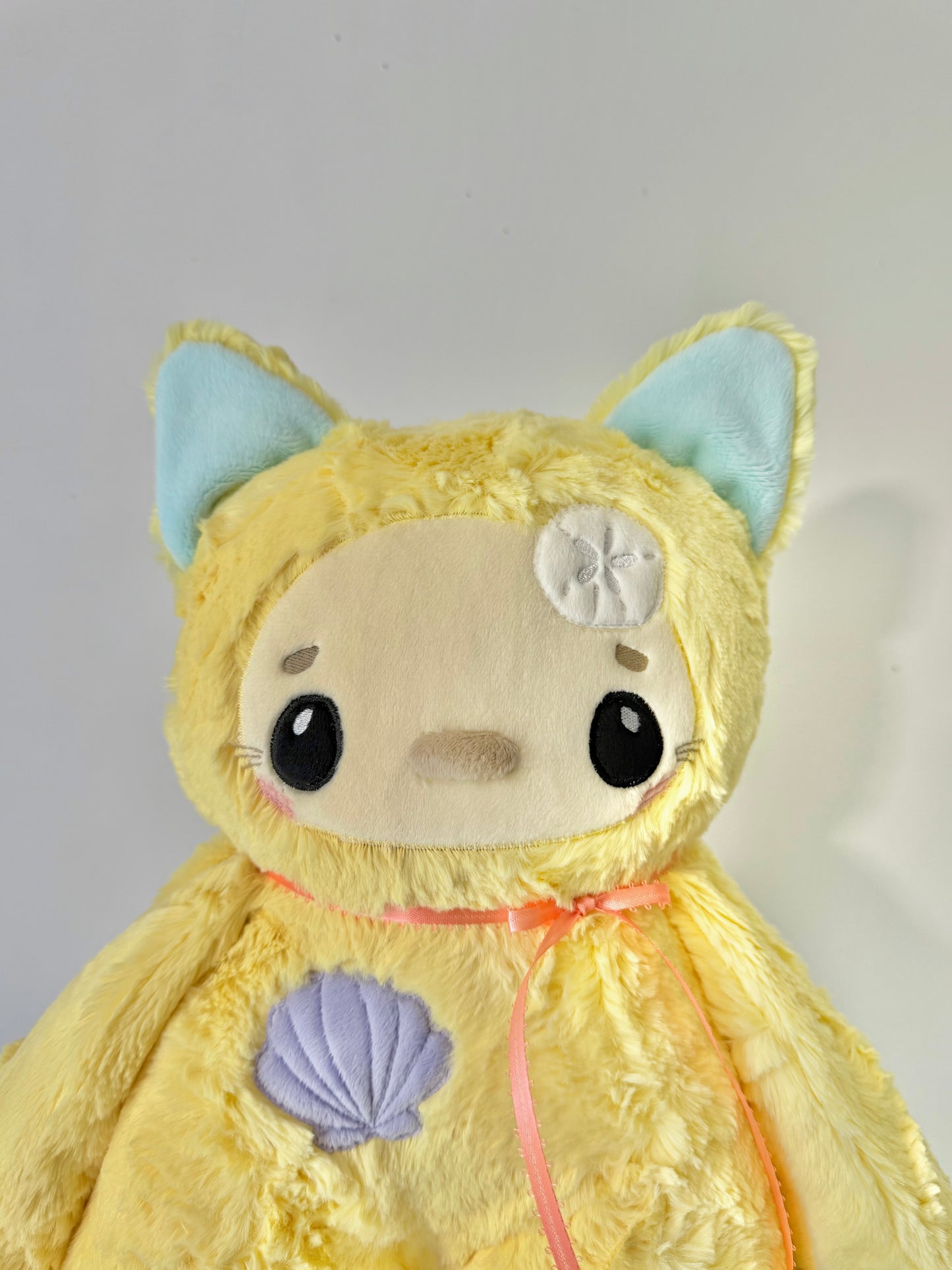 🌊🪸🐚 Pacifica the Cat 🐚🪸🌊