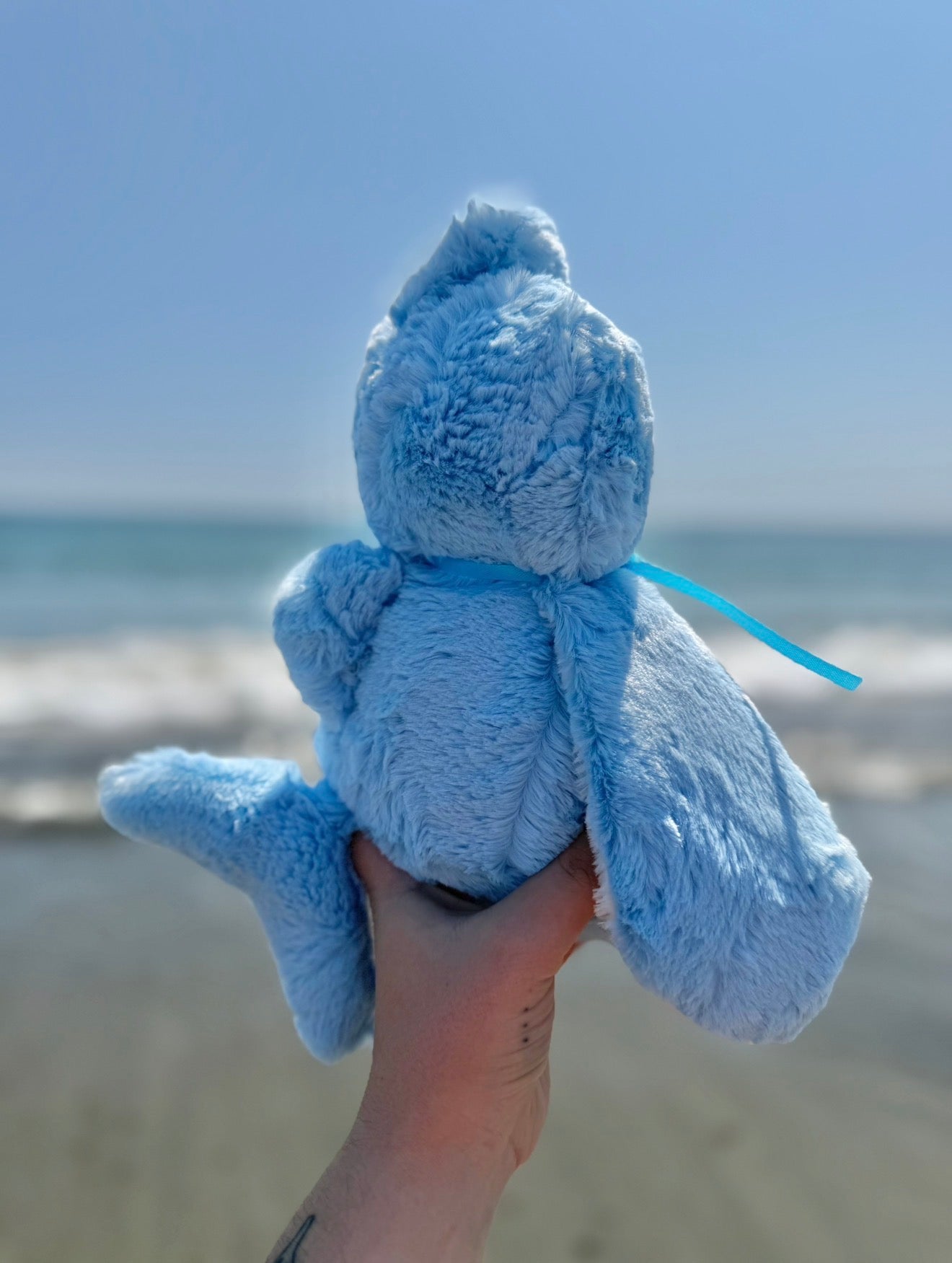 🪸🪼🦈 Ripple the Shark 🦈🪼🪸